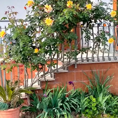 Casa Lucidi